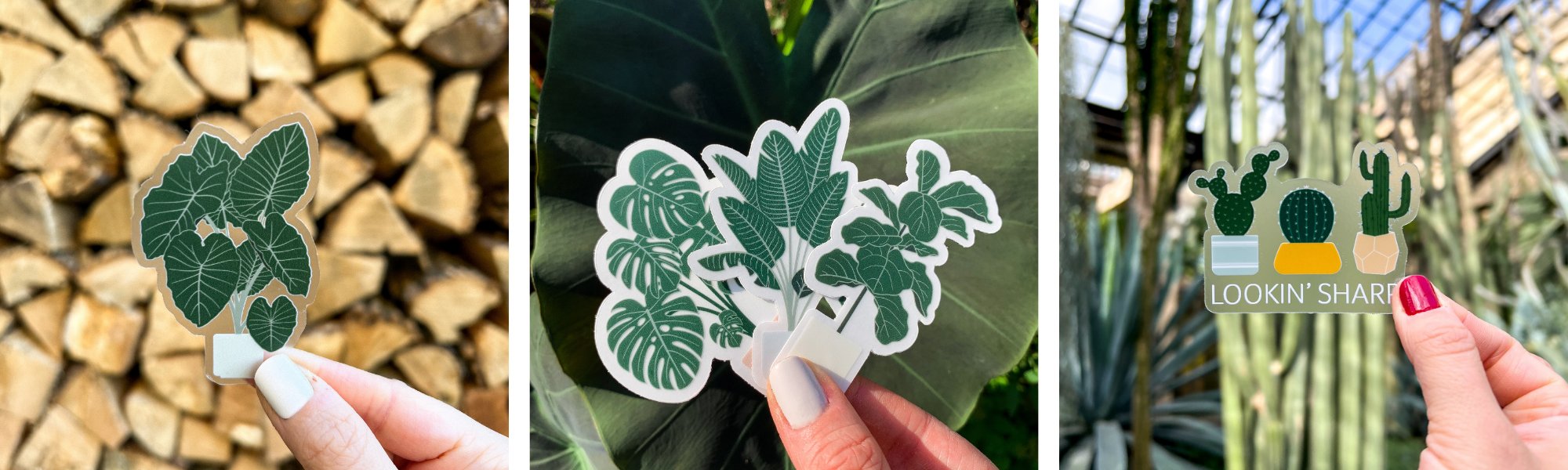 Plant Stickers