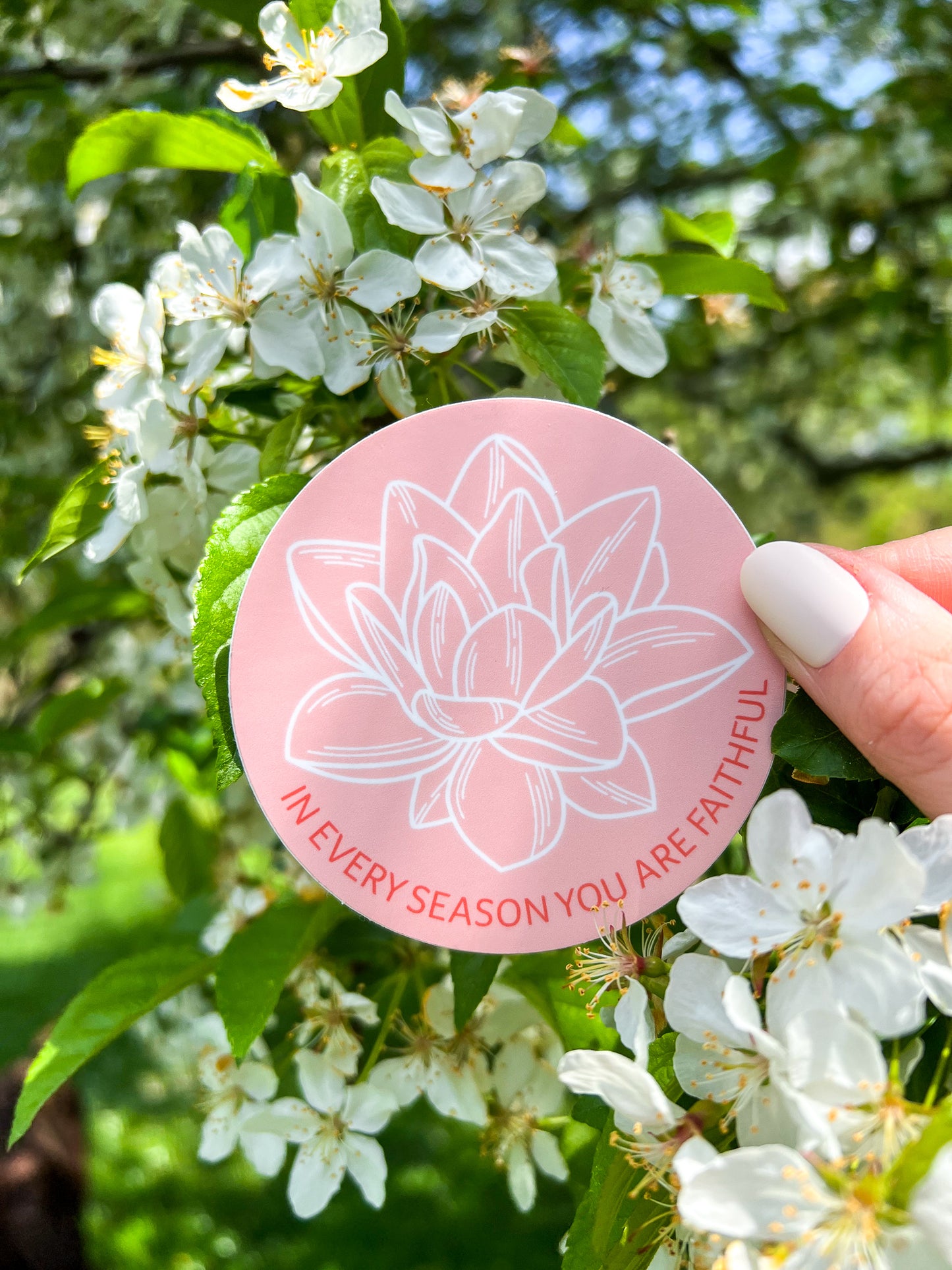 Water Lily In Every Season You Are Faithful Sticker