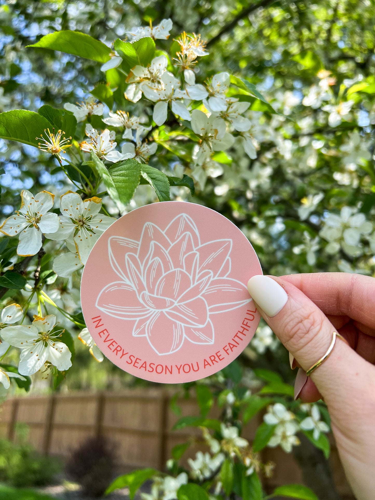 Water Lily In Every Season You Are Faithful Sticker