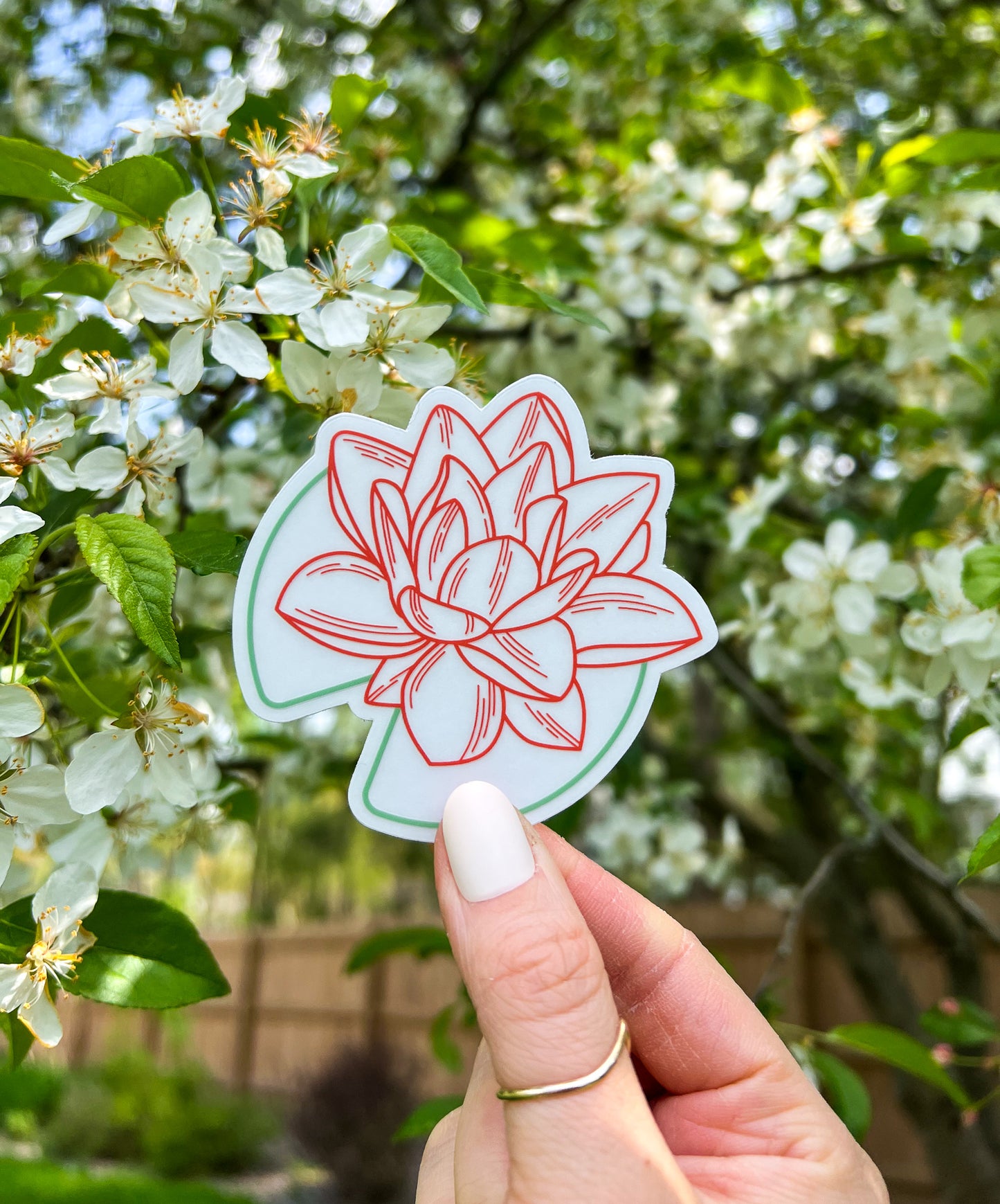 Waterlily Clear Sticker