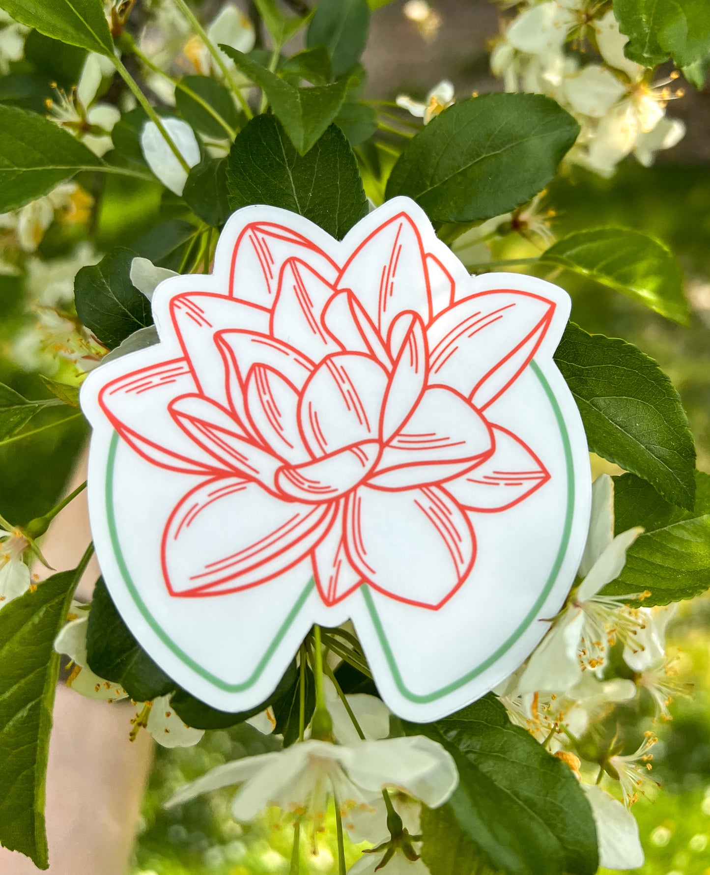 Waterlily Clear Sticker