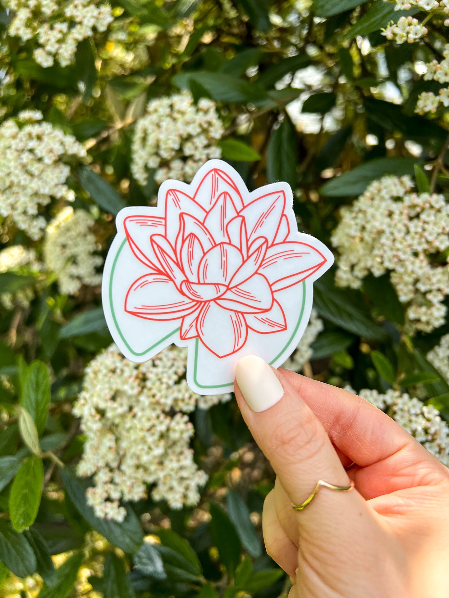 Waterlily Clear Sticker