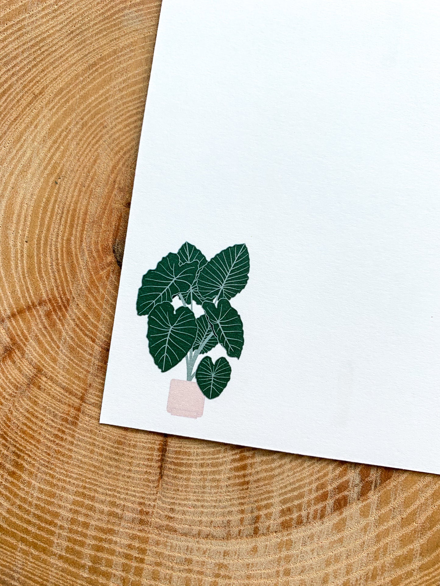 Plant Greeting Cards Set of 4