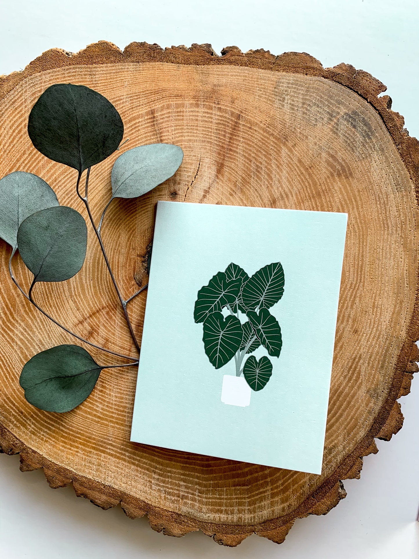 Plant Greeting Cards Set of 4