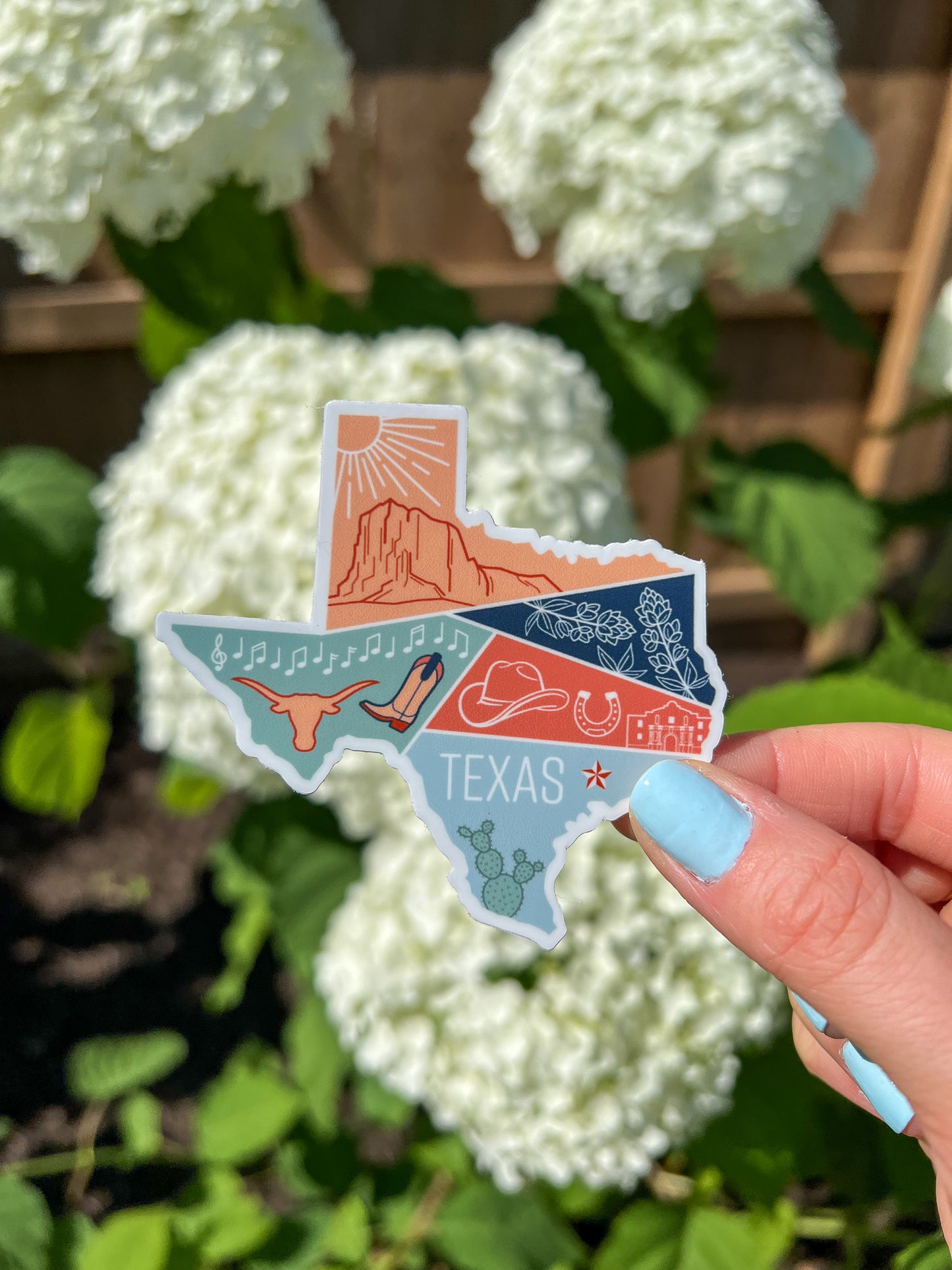 Texas Sticker