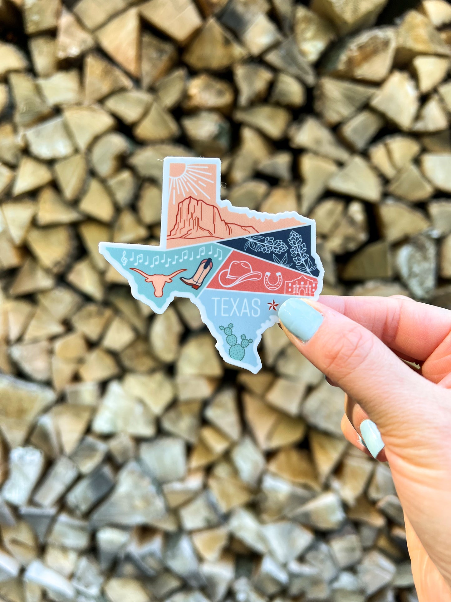 Texas Sticker