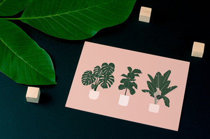Bird of Paradise, Monstera, Fiddle Leaf Fig Tree Plant Print