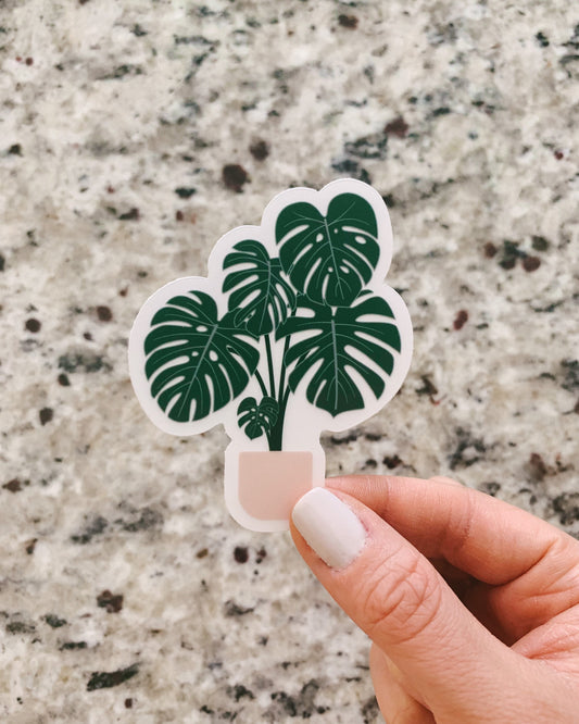 Monstera Deliciosa Plant Clear Sticker