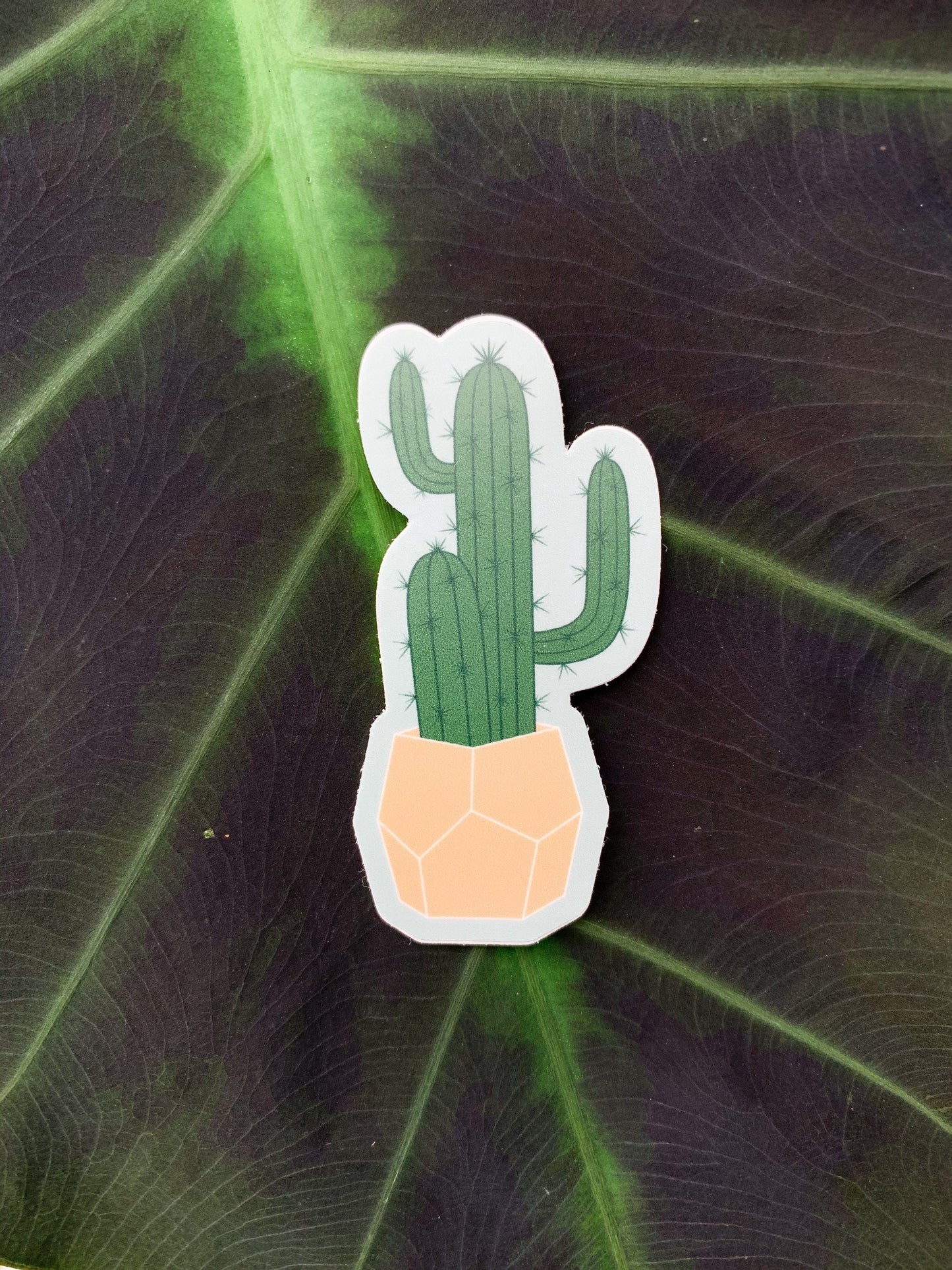 Cactus Plant Sticker