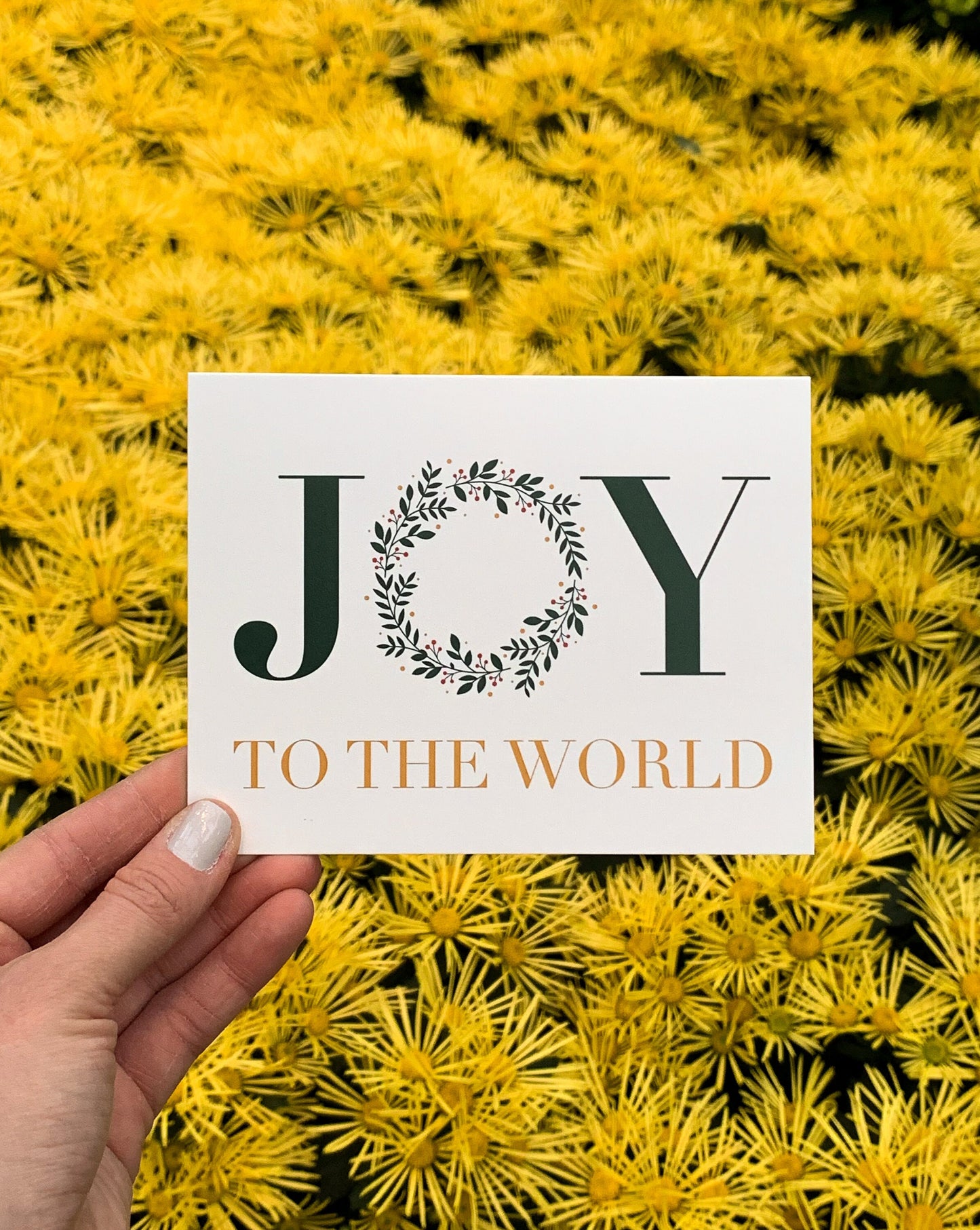 Joy to the World Christmas Card