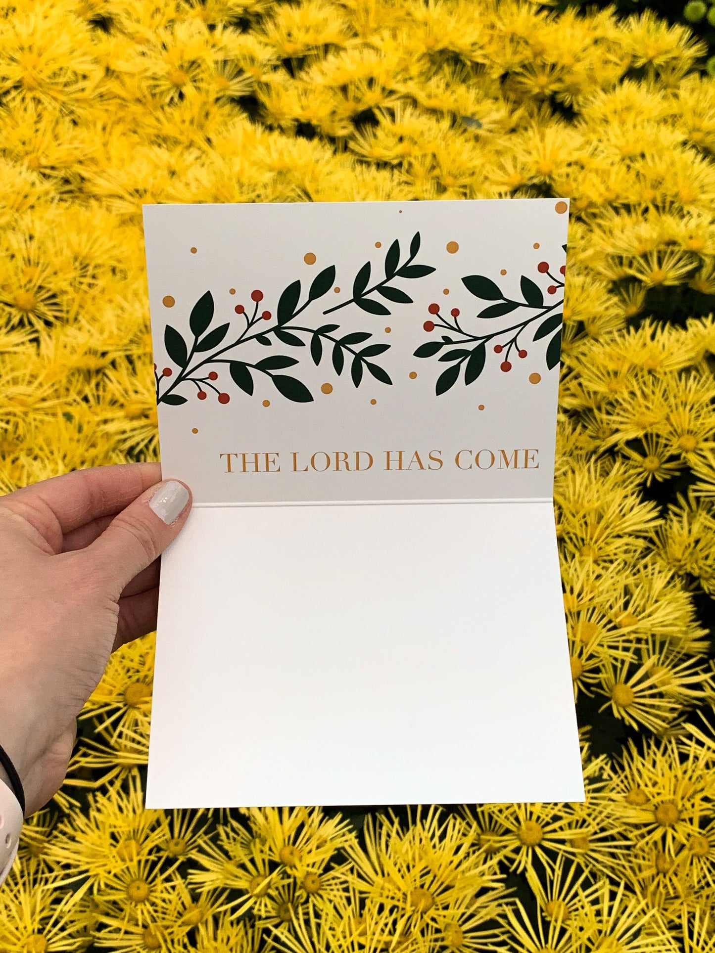 Joy to the World Christmas Card