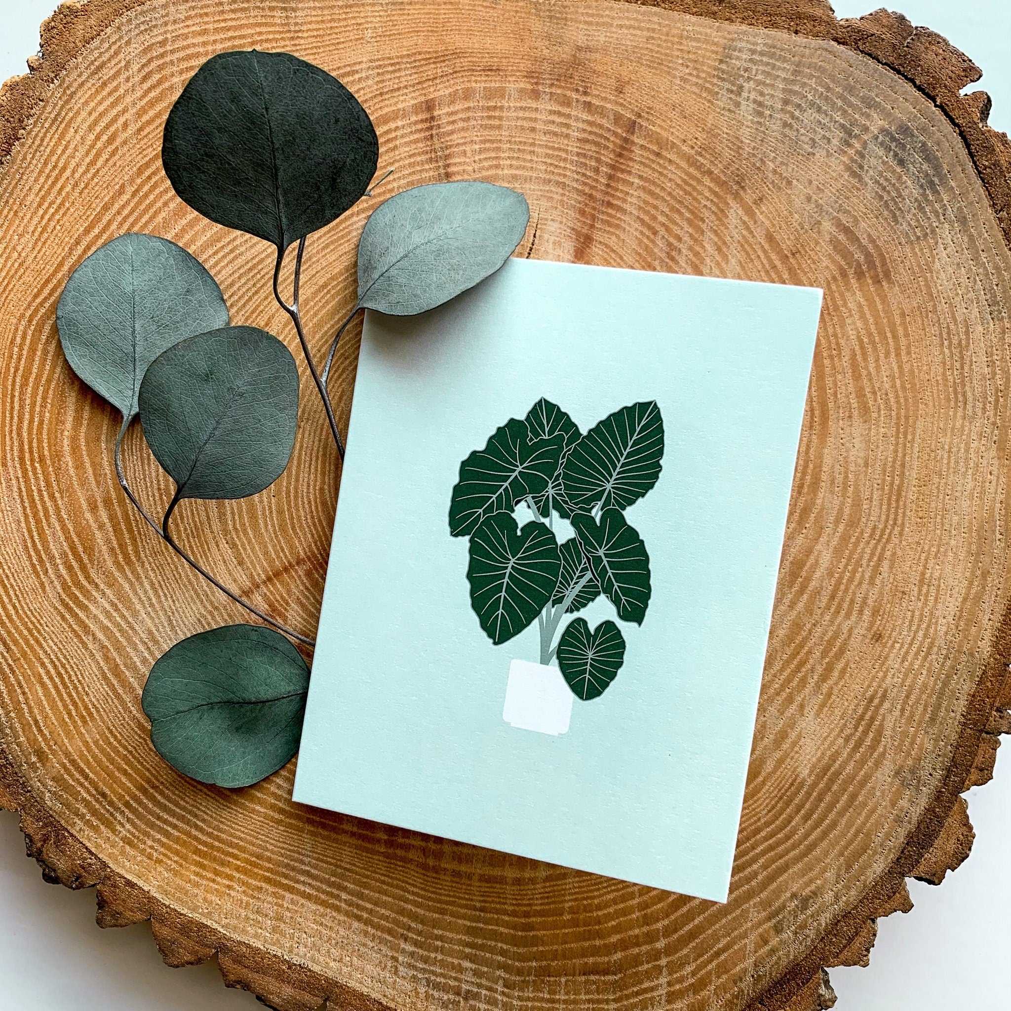 elephant ear plant crafts Elephant Ear Greeting Card – Nadia Design Co