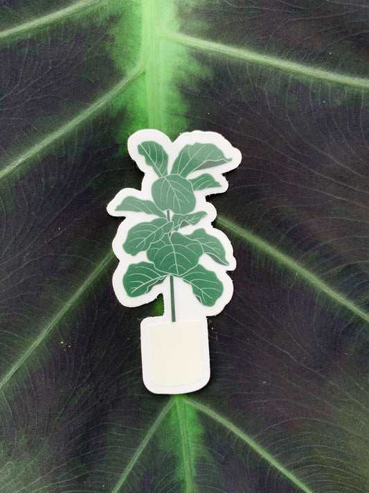 Fiddle Leaf Fig Tree Plant Clear Sticker