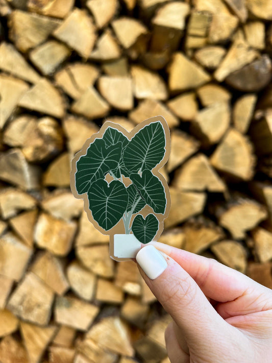 Elephant Ear Tree Clear Sticker