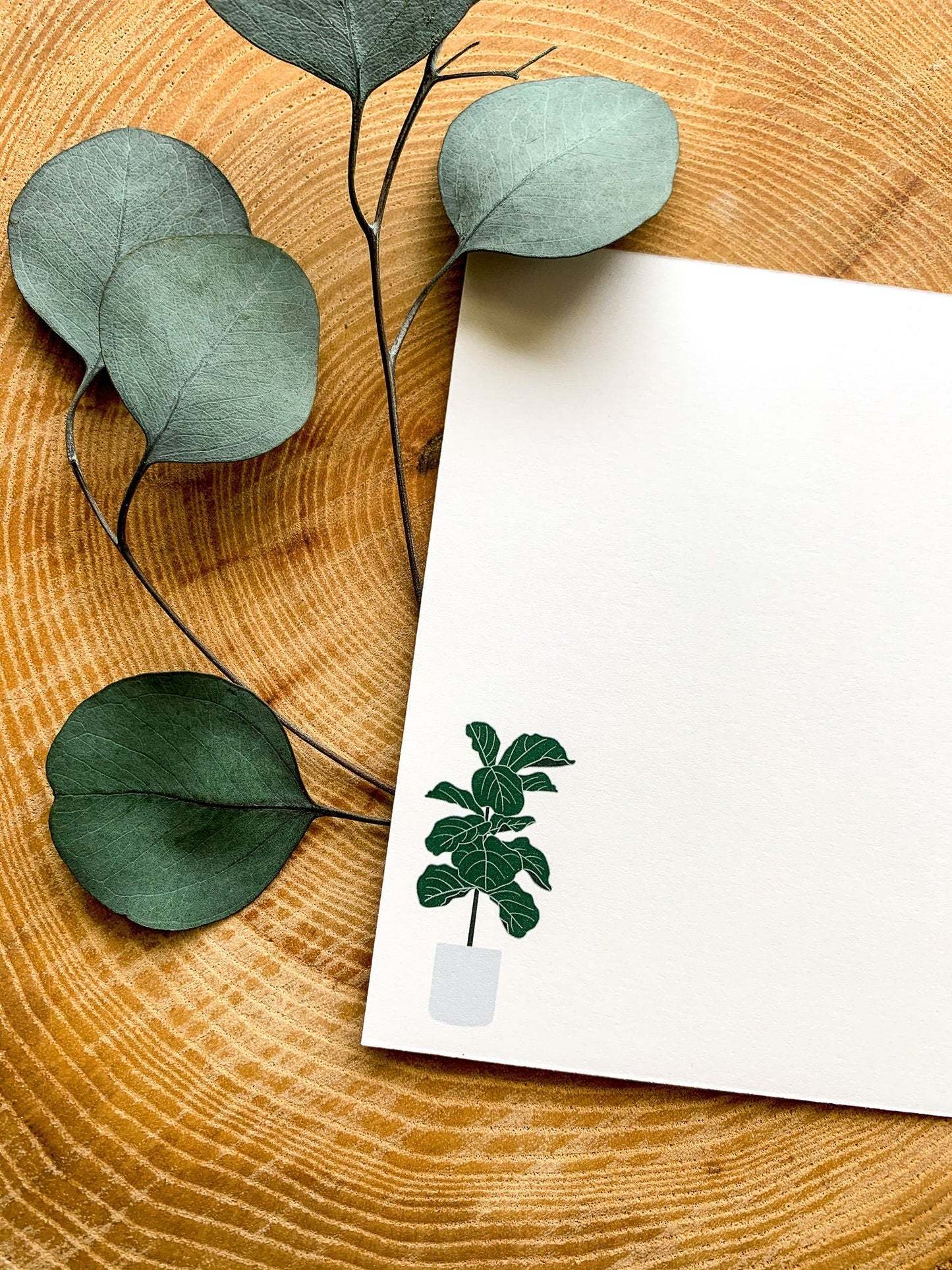 Plant Greeting Cards Set of 4