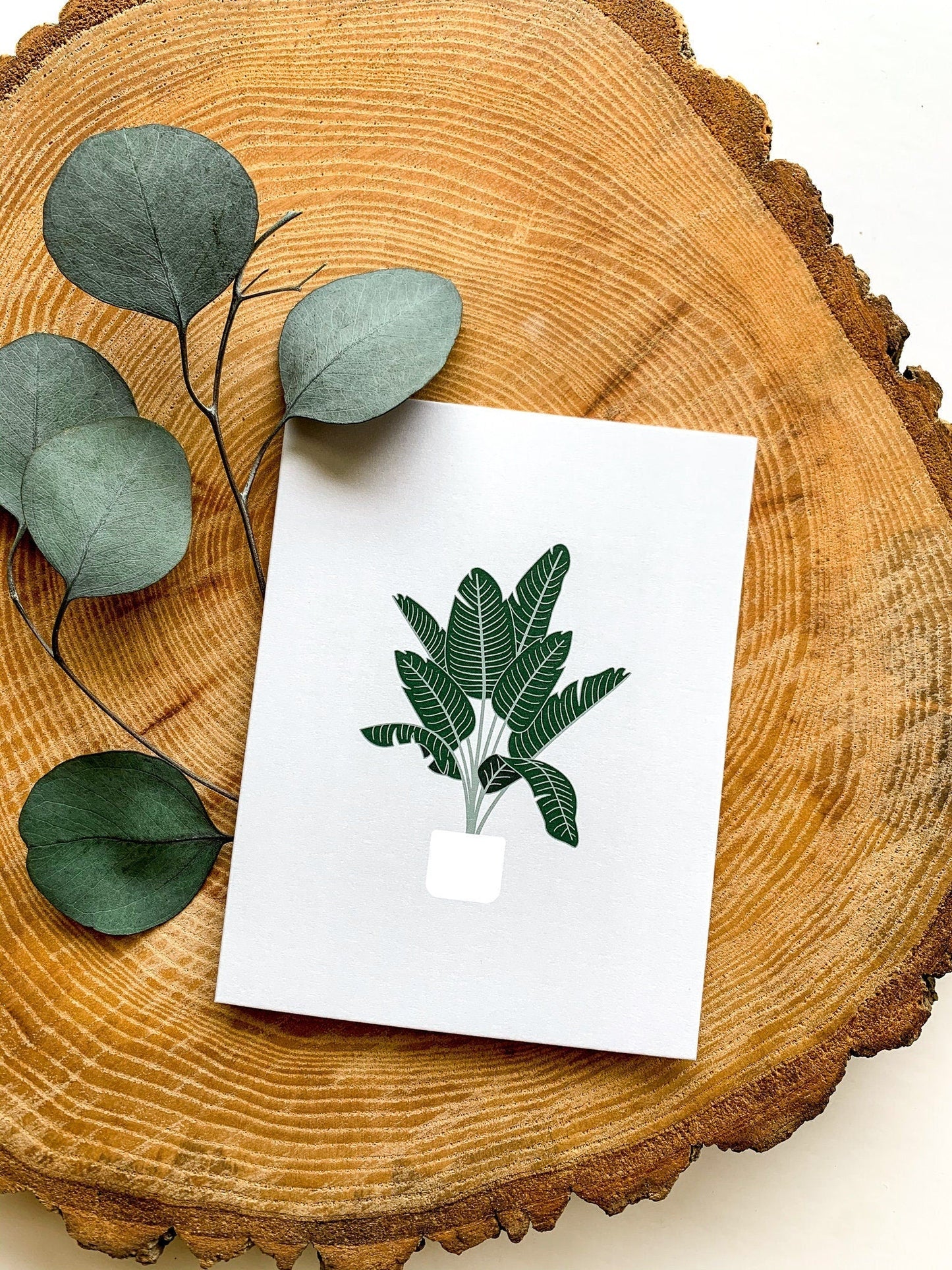 Plant Greeting Cards Set of 4