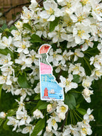 Delaware State Geometric Sticker