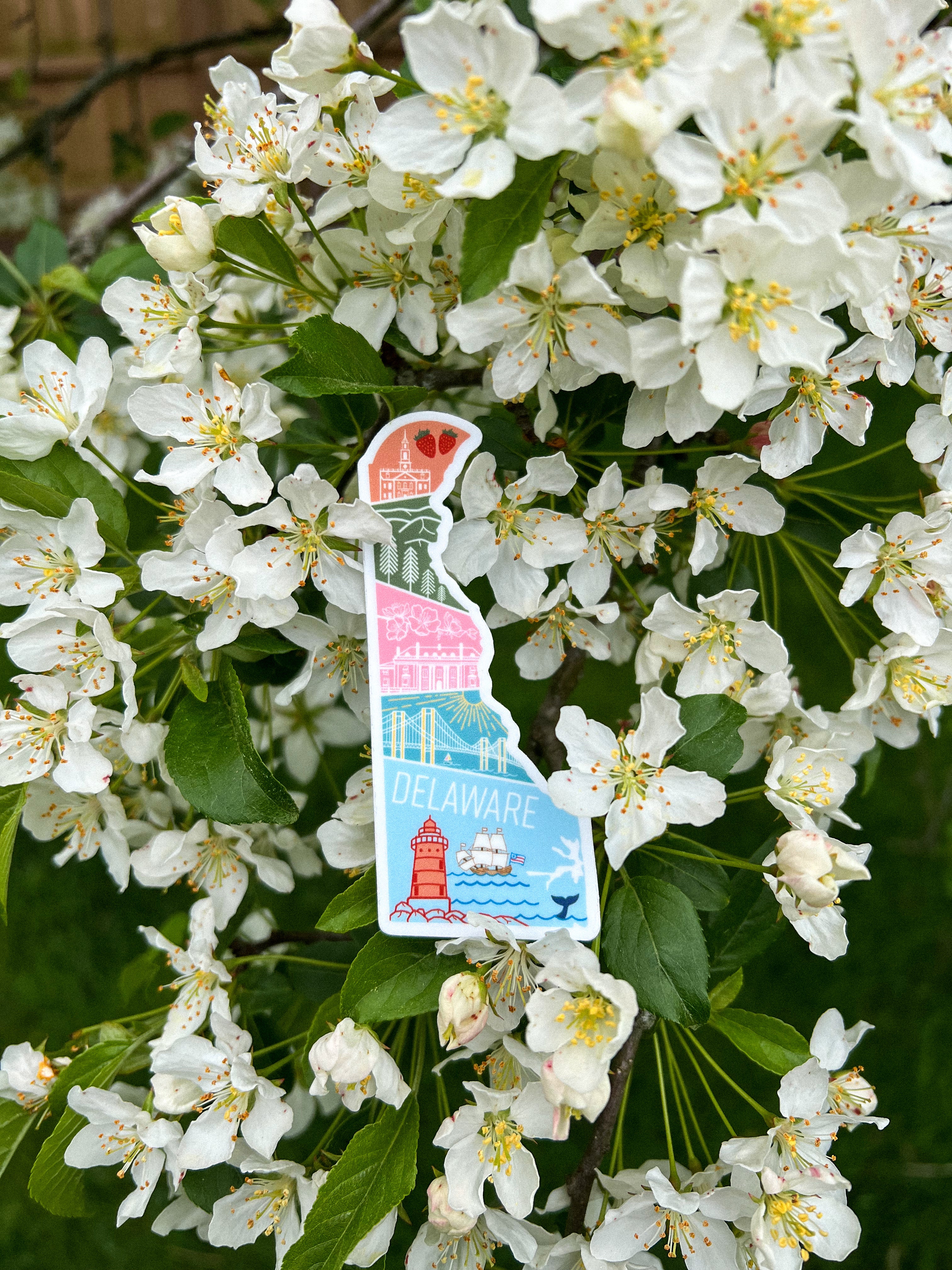 Delaware State Geometric Sticker