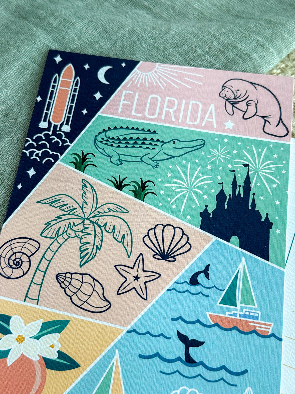 Florida USA Postcard