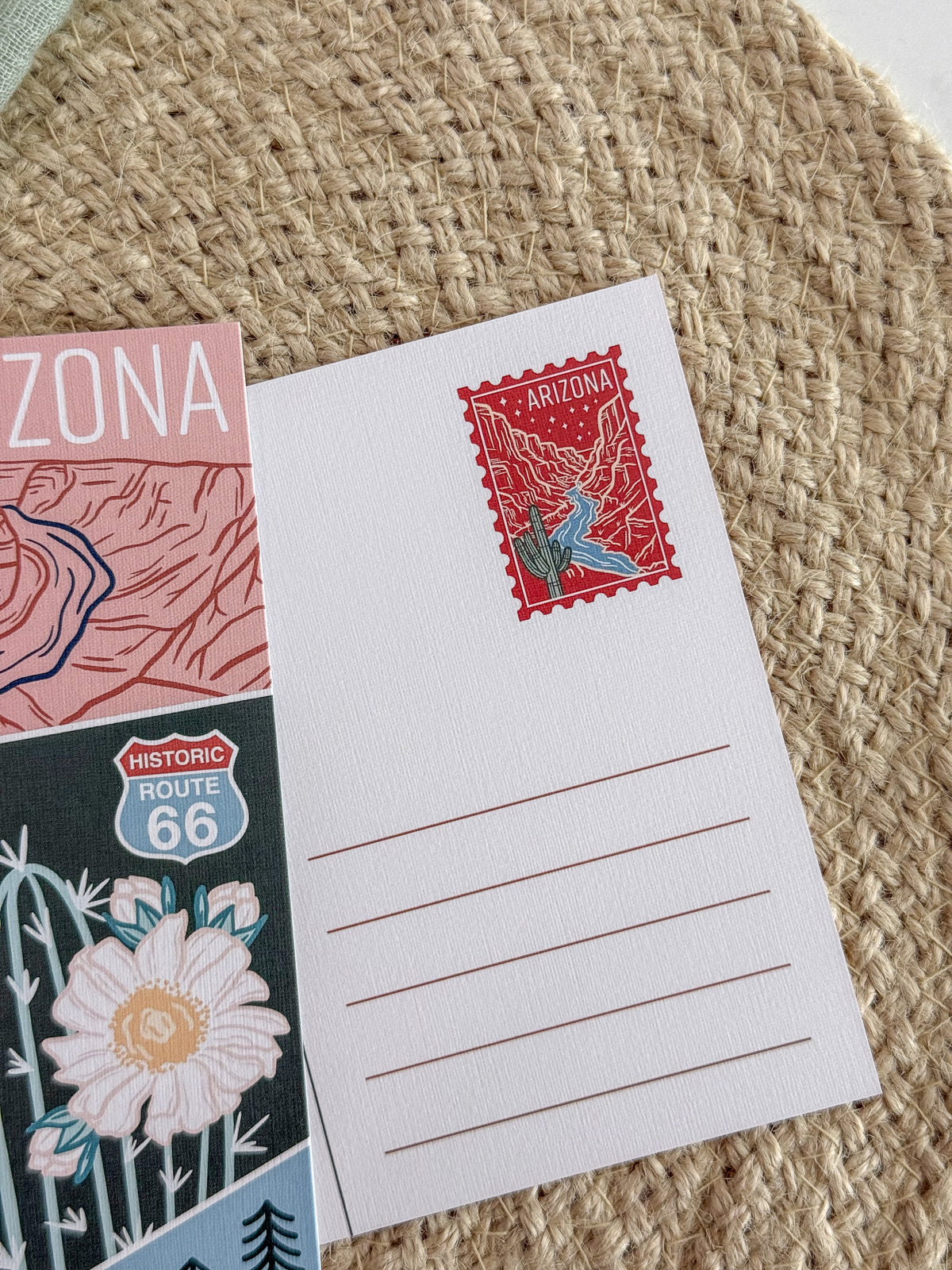 Arizona USA Postcard