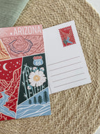 Arizona USA Postcard