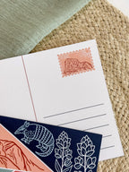 Texas USA Postcard