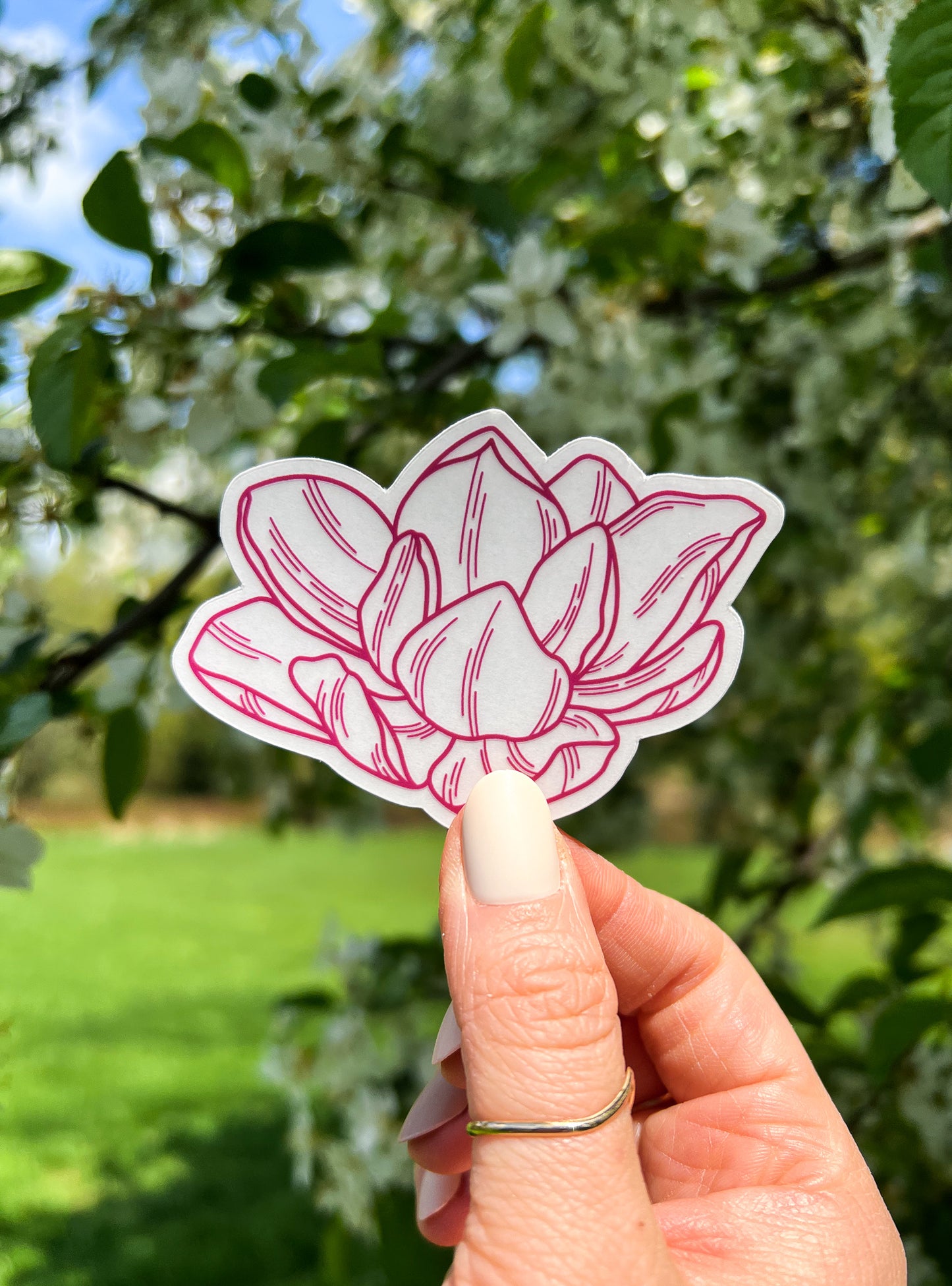 Magnolia Clear Sticker