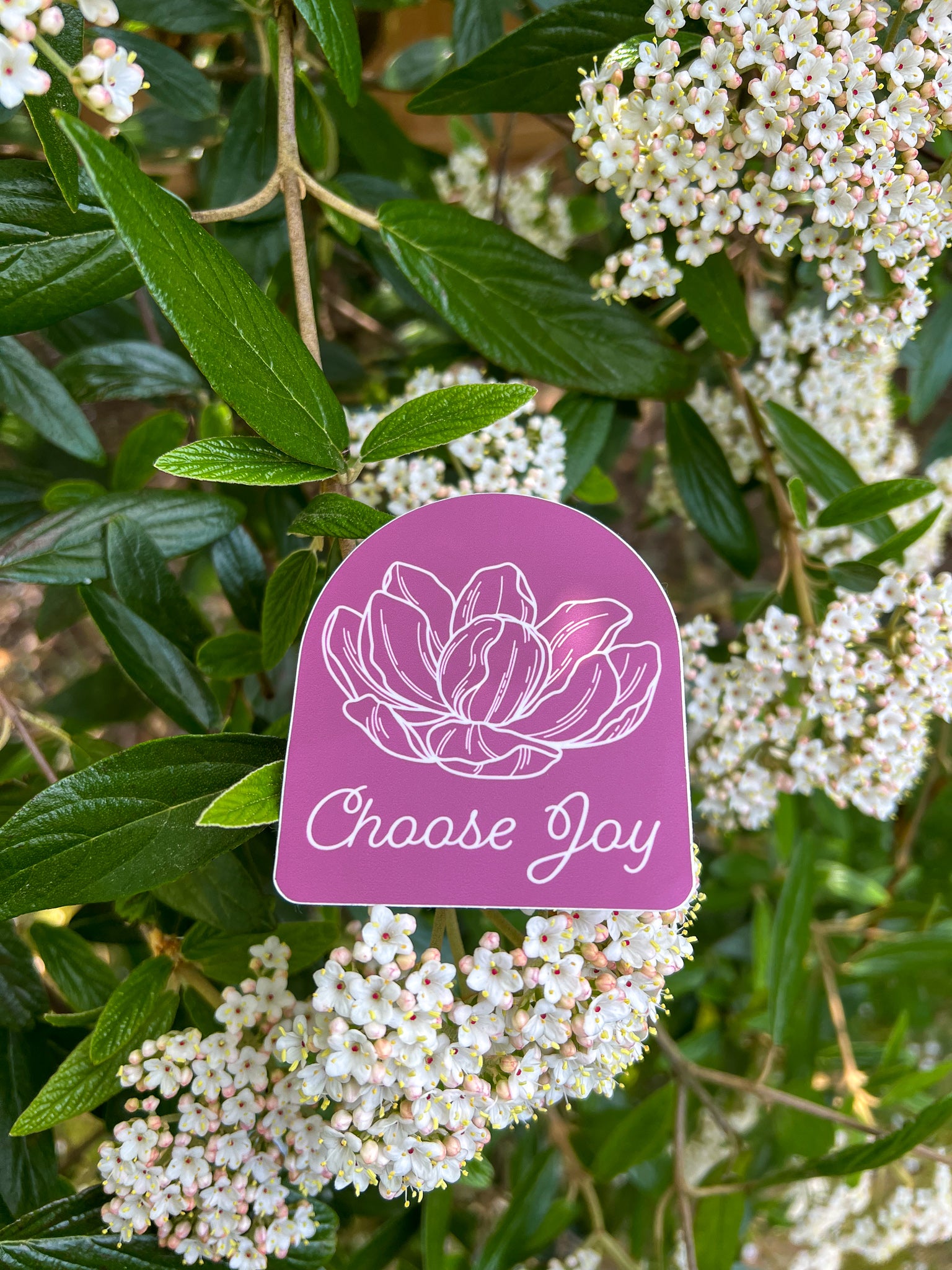 Magnolia "Choose Joy" Sticker