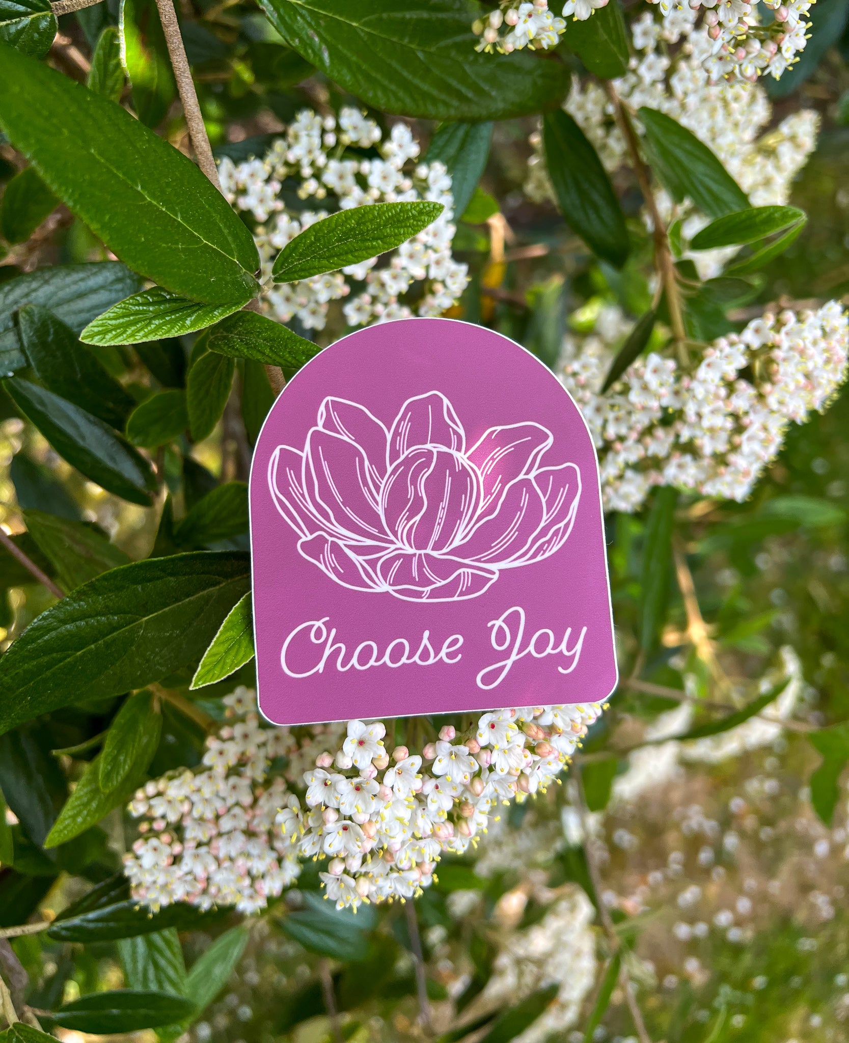 Magnolia "Choose Joy" Sticker