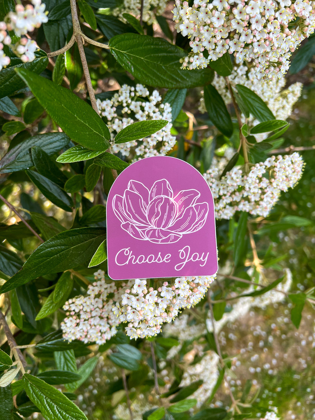 Magnolia "Choose Joy" Sticker