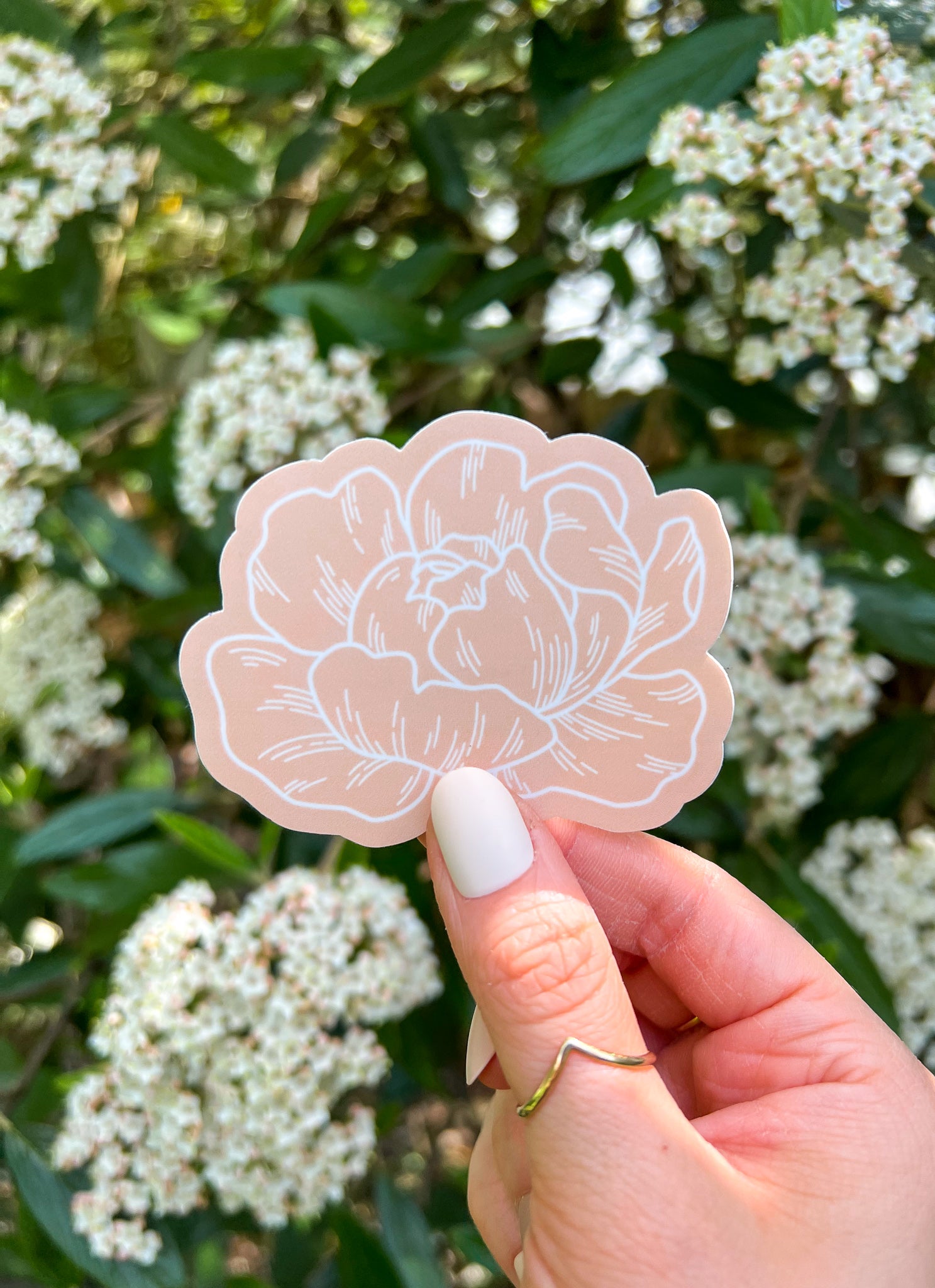 Peony Sticker