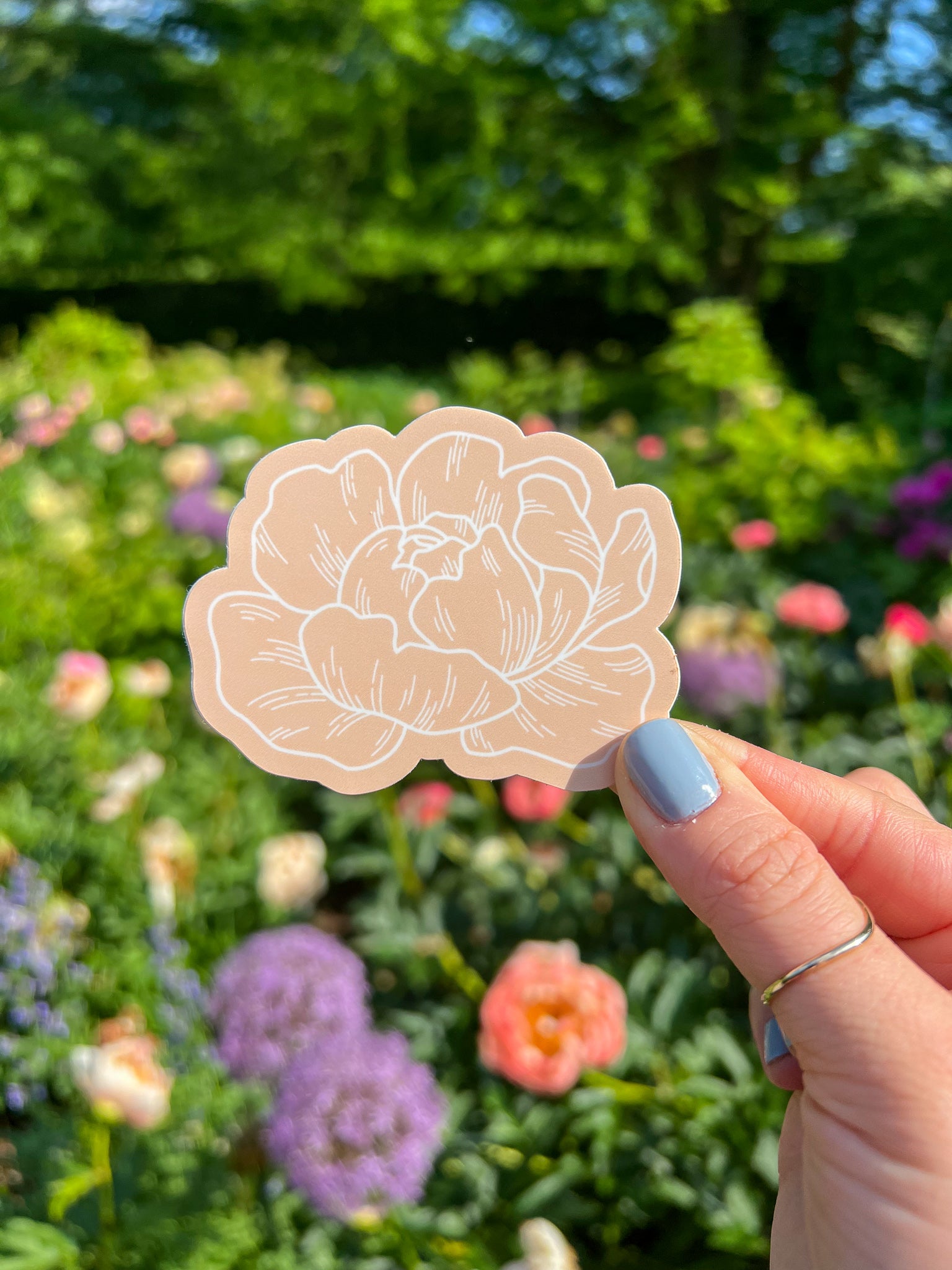 Peony Sticker