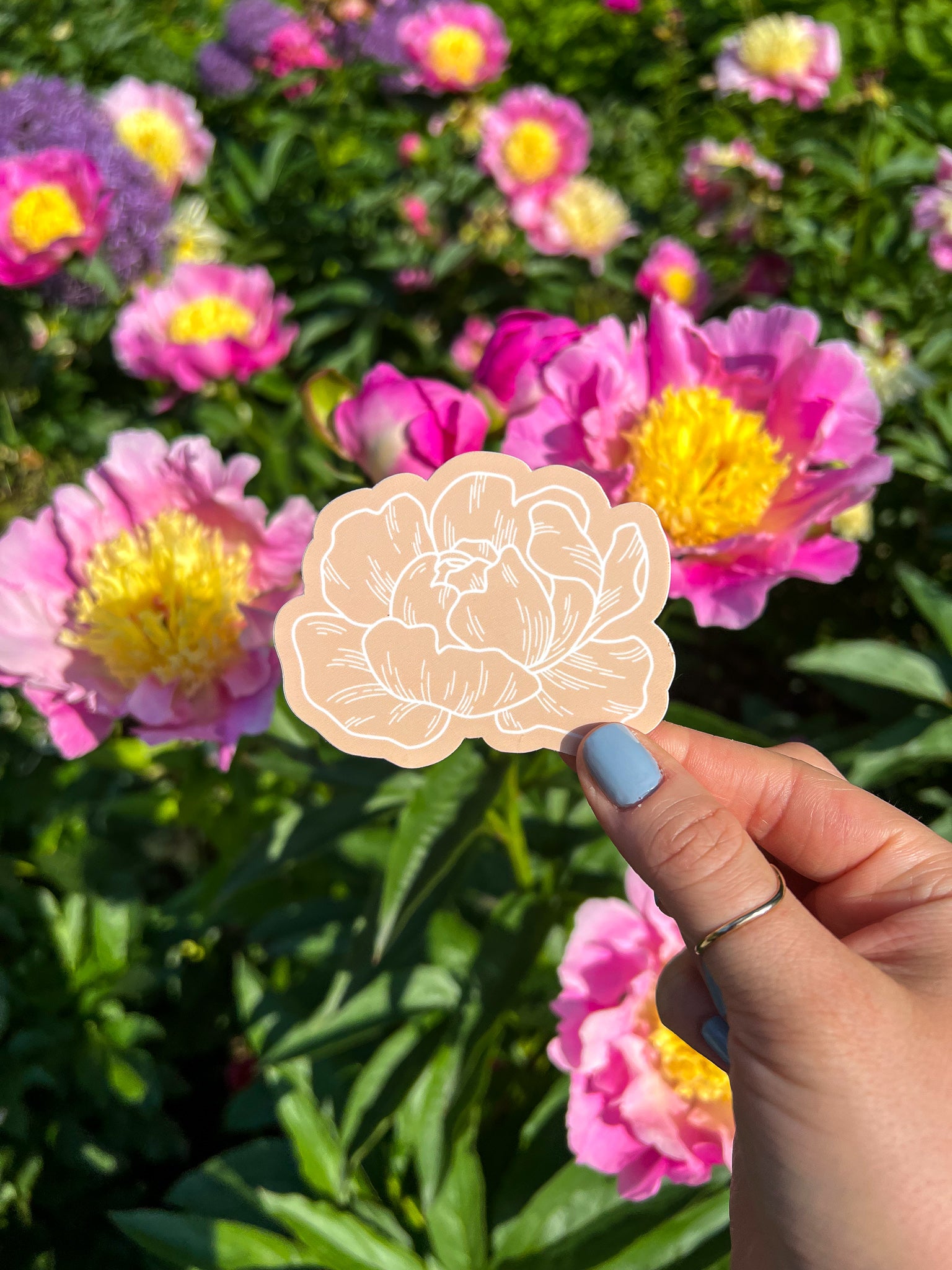 Peony Sticker