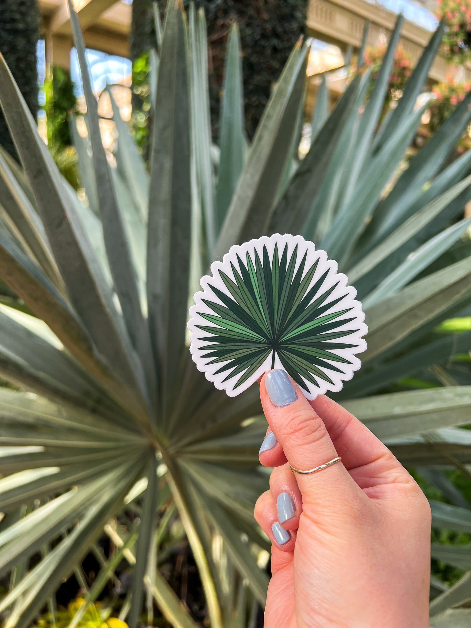 Tropical Fan Palm Leaf Sticker