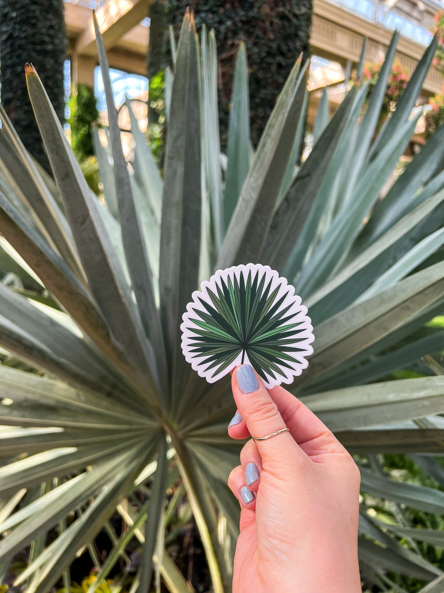 Tropical Fan Palm Leaf Sticker