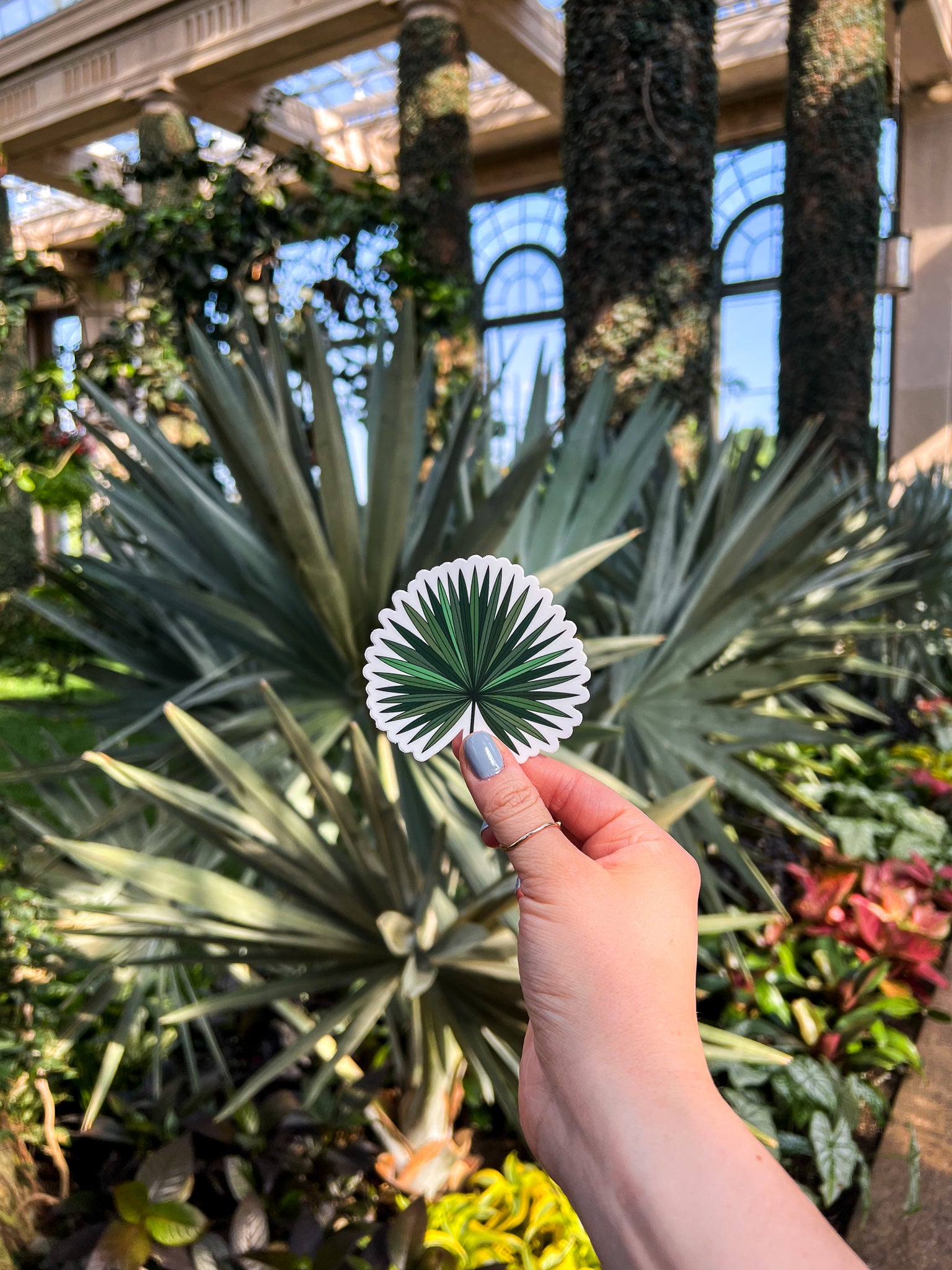 Tropical Fan Palm Leaf Sticker