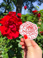 Red Rose Clear Sticker
