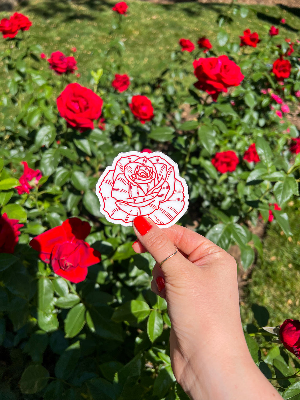 Red Rose Clear Sticker