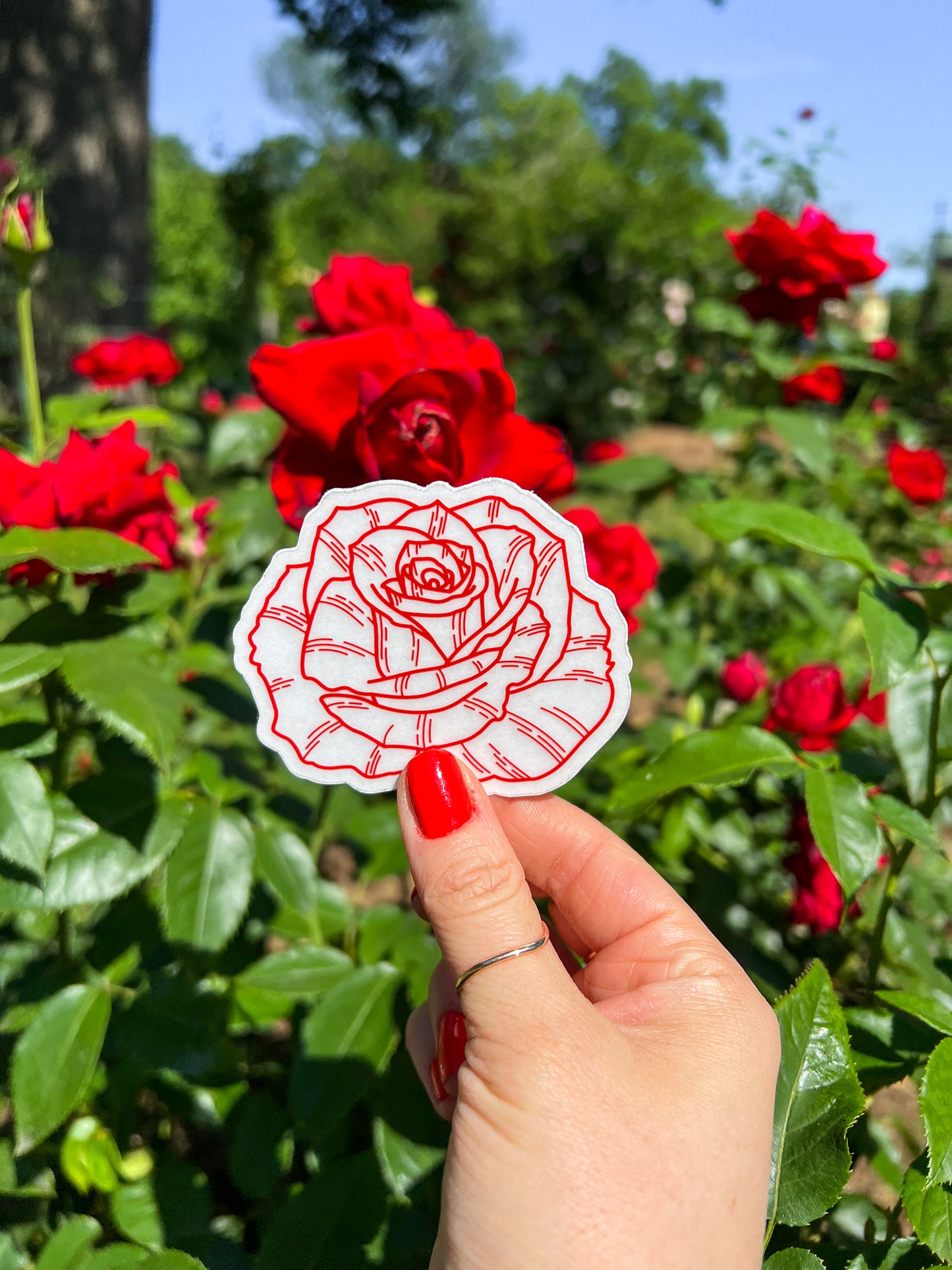 Red Rose Clear Sticker