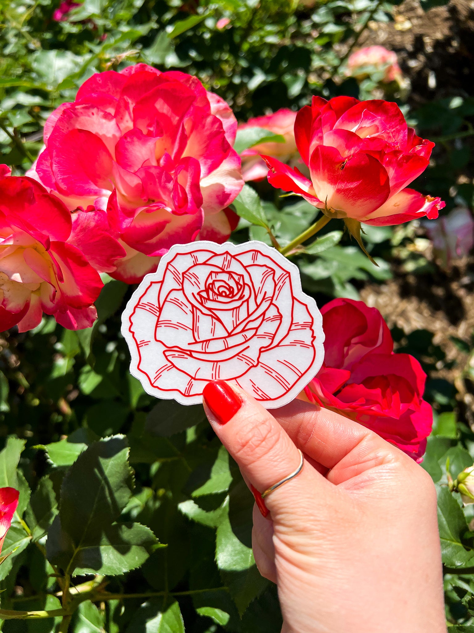 Red Rose Clear Sticker