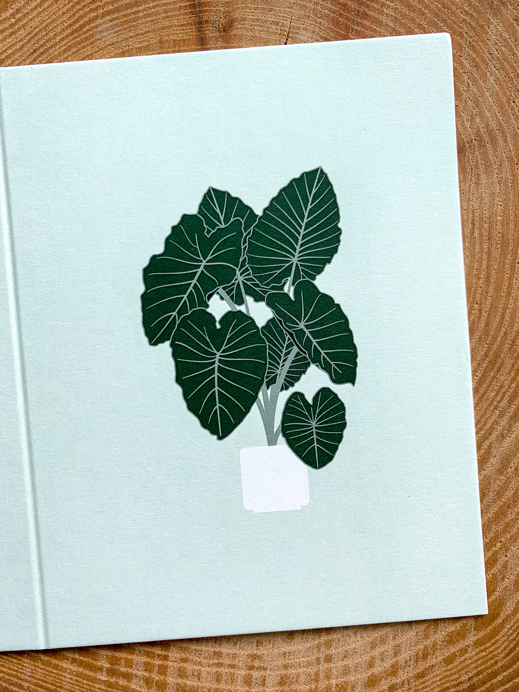 Elephant Ear Greeting Card