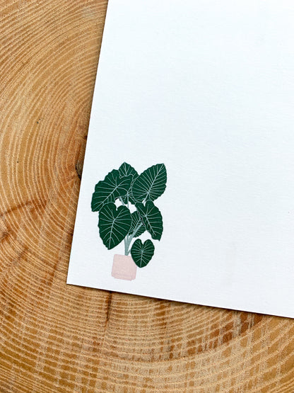 Set of 4 Plant Greeting Cards