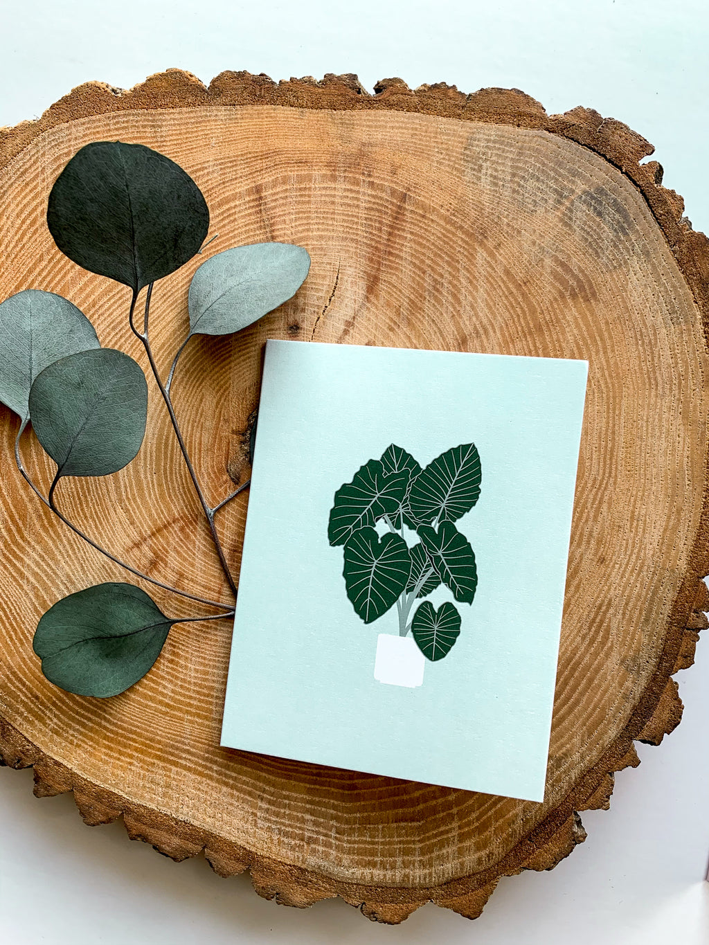 Plant Greeting Cards Set of 4