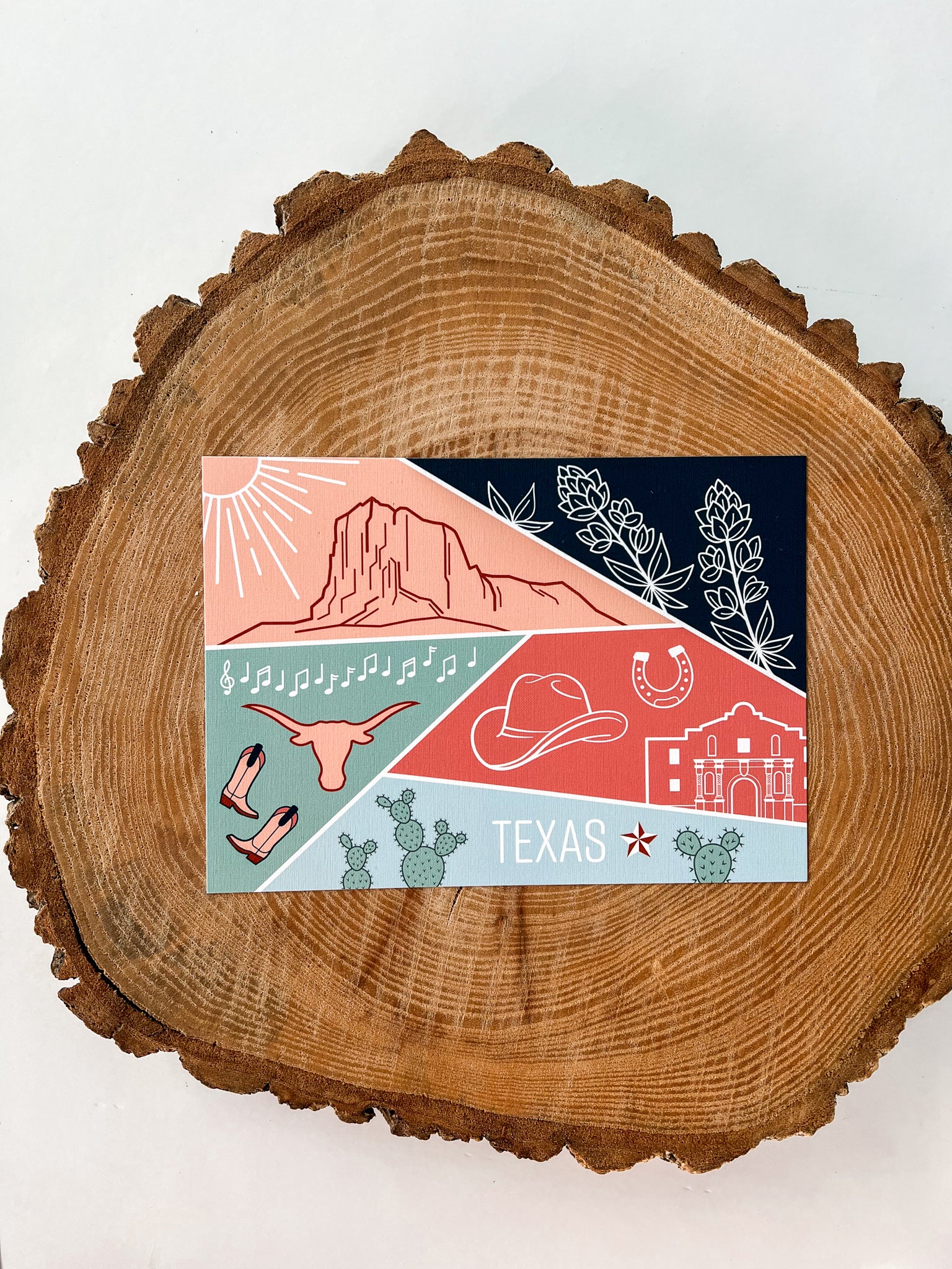 Texas State Postcard