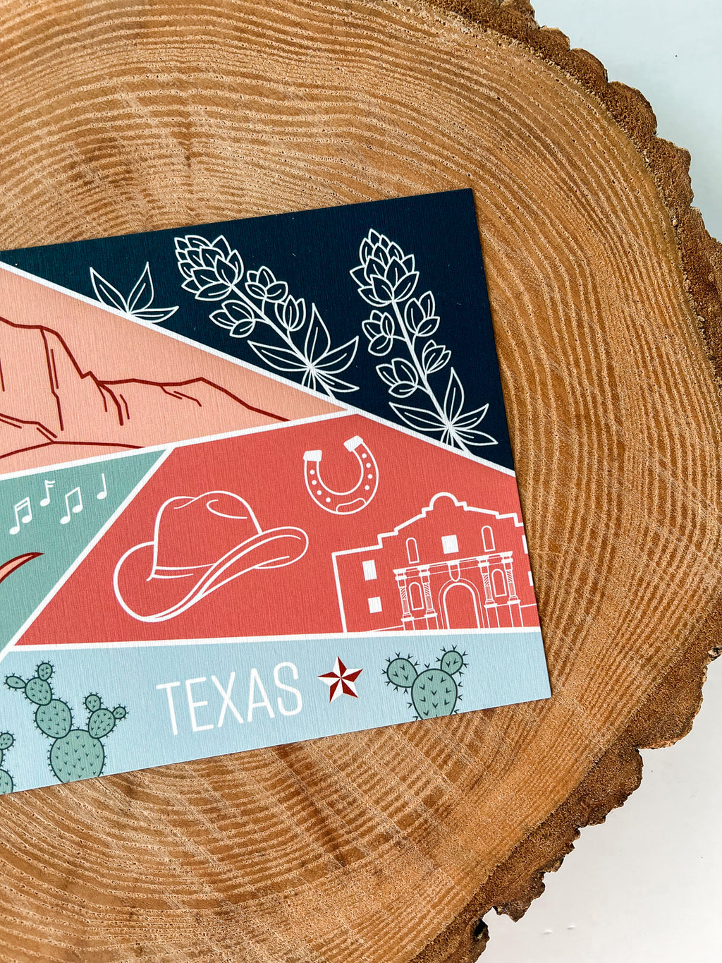 Texas State Postcard