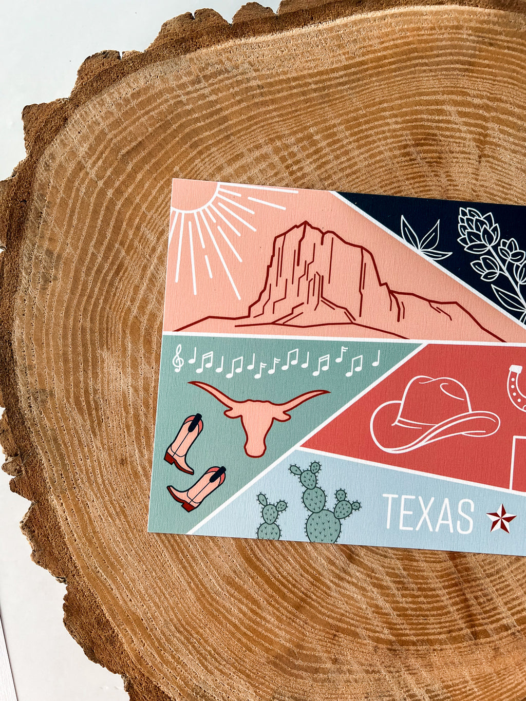 Texas State Postcard