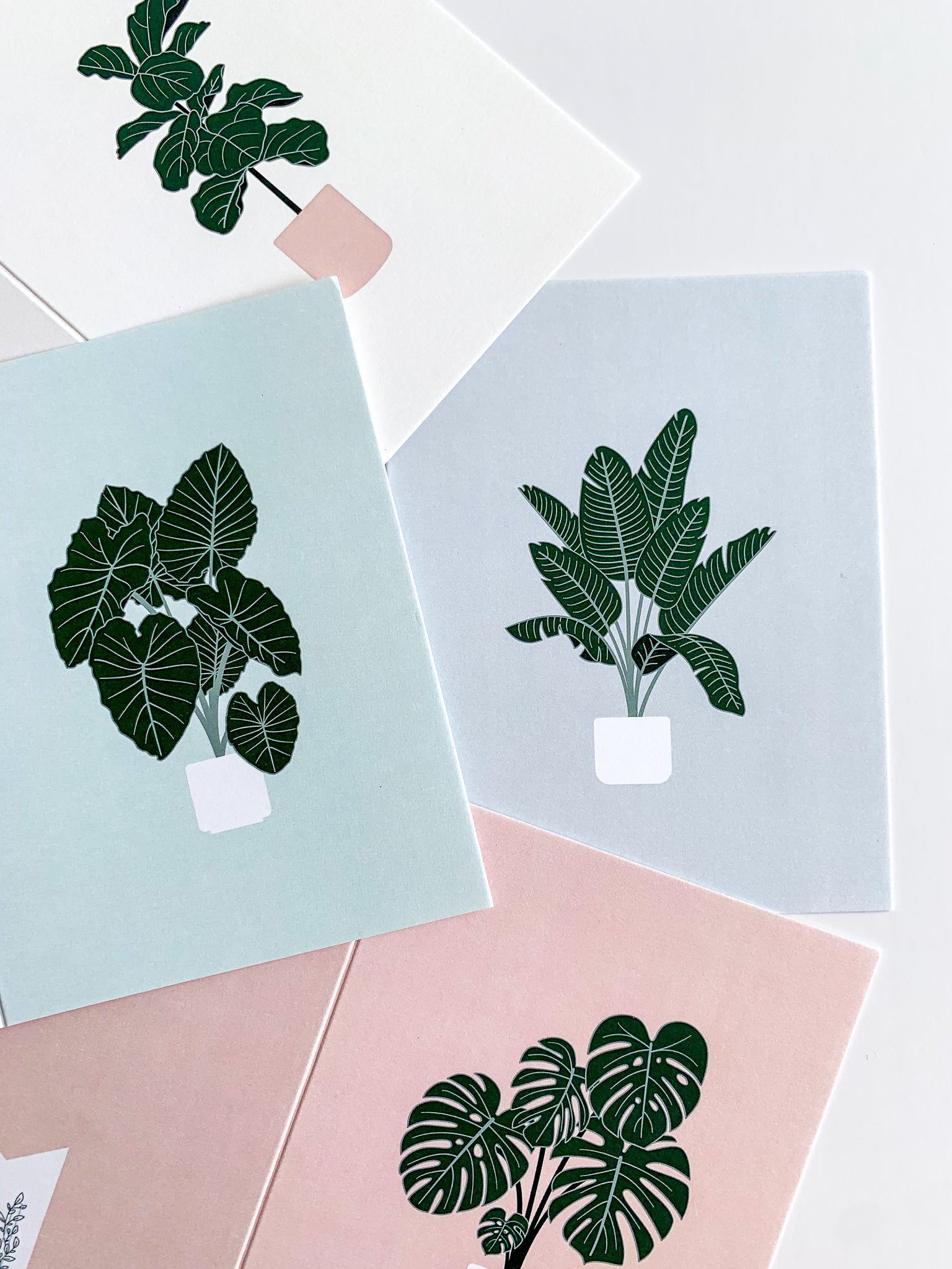 Plant Greeting Cards Set of 4