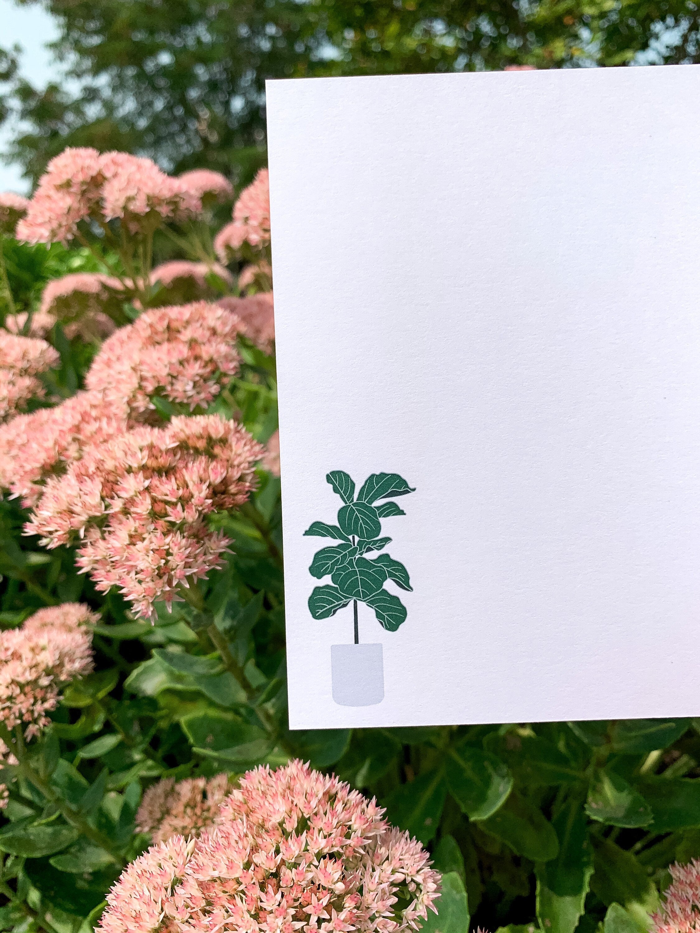 Thank you for Helping me Grow Greeting Card