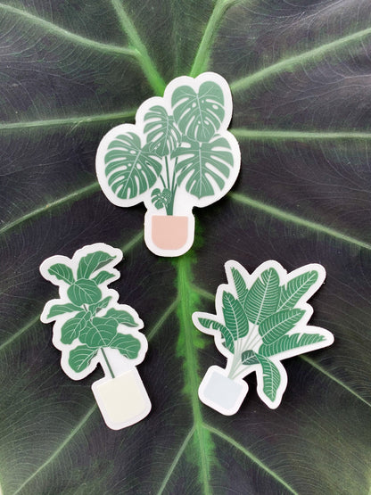 Monstera Deliciosa Plant Clear Sticker