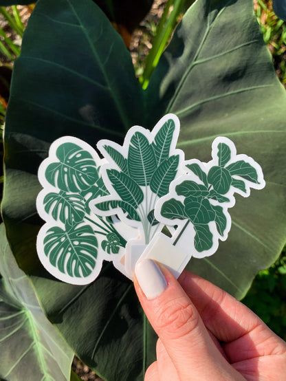 Fiddle Leaf Fig Tree Plant Clear Sticker
